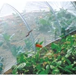 Kép 6/6 - BIOCONTROL - Rovarháló környezettudatos termeléshez, fehér - 2,20 x 10 méter