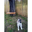 Kép 6/7 - BAMBOOCANE - Természetes hasított bambusznád kerítés - 1x5 m