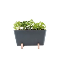 WATERWICK – Önöntöző MINI NÖVÉNYNEVELŐ KÉSZLET (PLANTBOX) – antracit