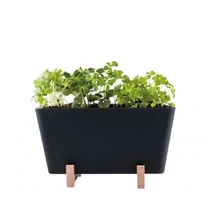 WATERWICK – önöntöző MINI NÖVÉNYNEVELŐ KÉSZLET (PLANTBOX) – Fekete