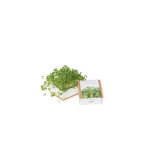 GROW BOX UNO - Termesztő készlet - Brokkolival