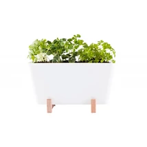 WATERWICK – Önöntöző MINI NÖVÉNYNEVELŐ KÉSZLET (PLANTBOX) – fehér