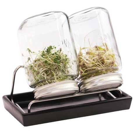Csíráztató készlet Eschenfelder – 2db üveggel (1000ml) , sötétszürke