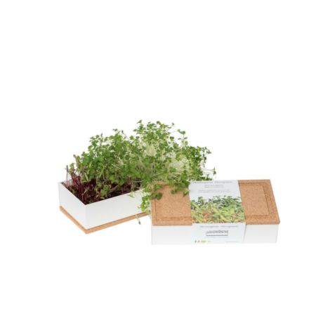 GROW BOX DUO - Termesztő készlet Cékla+Brokkoli